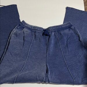 NWT Discount Divas Lived in Pants XL Blue
